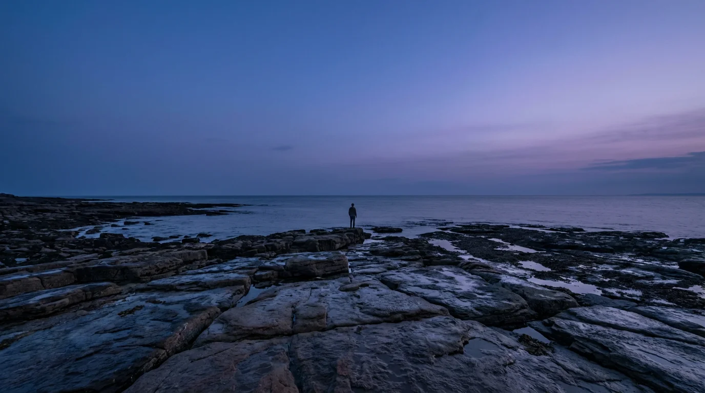 A lone person stands on a vast, rocky beach at dusk, looking out.