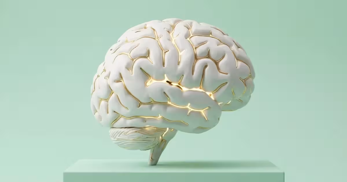 A happy couple reviewing car insurance savings on a laptop in a bright, modern kitchen.